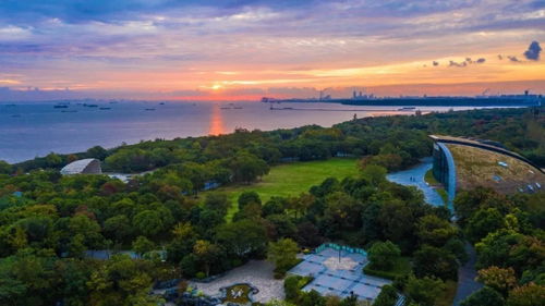 科創寶山 揚帆出海拓圈，奮力尋找新流量與創新增長極